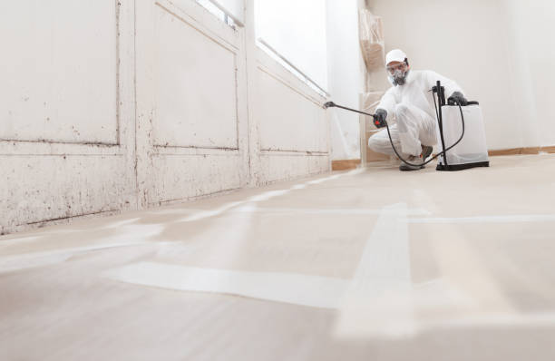 24/7 Emergency Mold Remediation experts in Jackson, TN